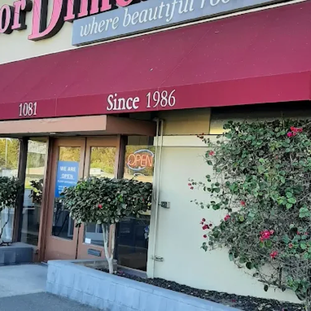 AF1QipNE89ejsEQ5JBun_NTSvsKG5Q19HB-Uv0usc89V=s680-w680-h510-rw