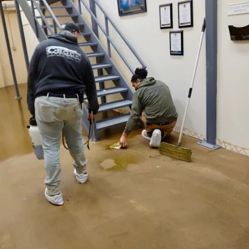 AF1QipP25p4Tv-rTgKgRDVKXpm1wp7YKxSPYZ3nNR7Vr=s680-w680-h510-rw